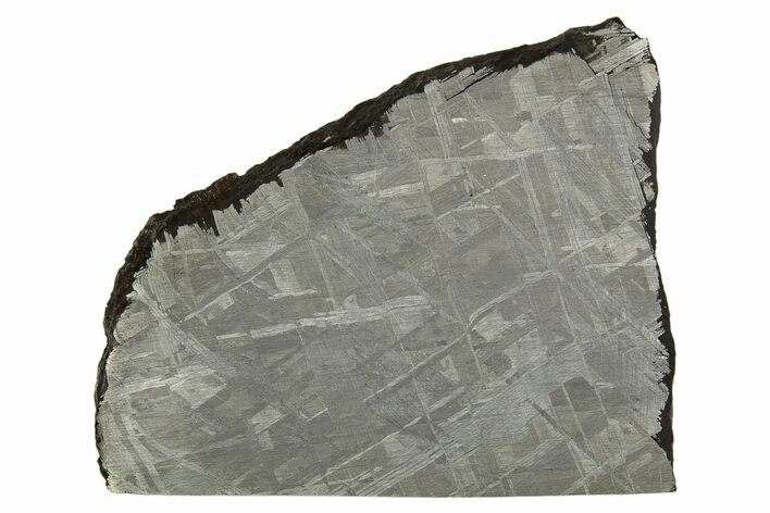 Etched Muonionalusta Meteorite Slice ( g) - Sweden #316730